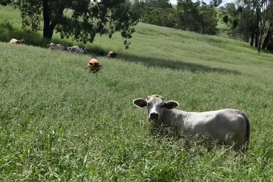Lot 59 Herrons Road, Iredale QLD 4344