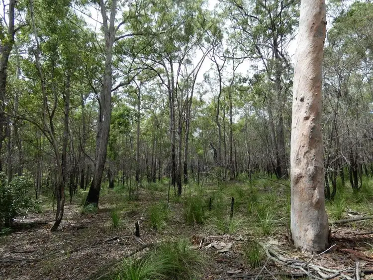 Seventh view of Homely rural property listing, 420 Matchbox Road, Deepwater QLD 4674