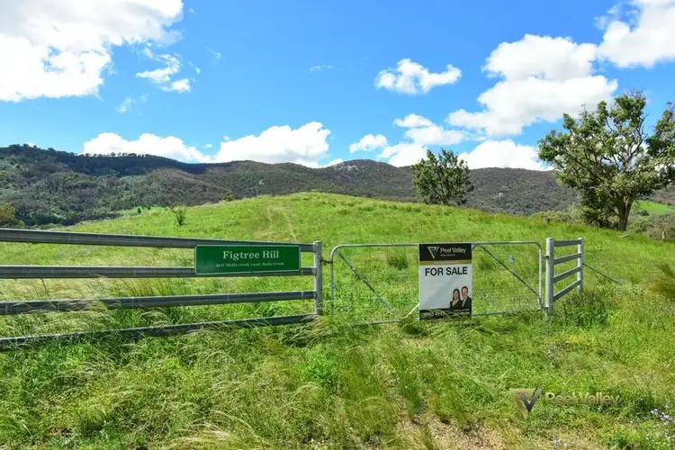 Sixth view of Homely rural property listing, 4127 Halls Creek Road, Halls Creek NSW 2346
