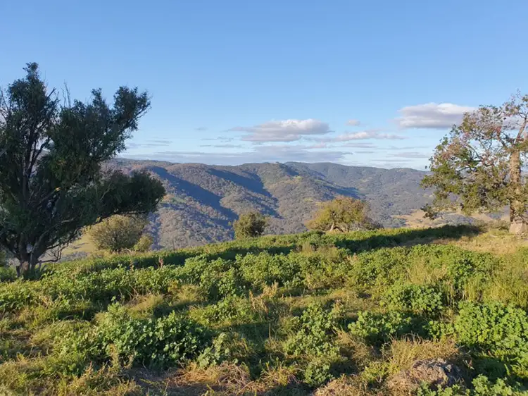 Seventh view of Homely rural property listing, 4127 Halls Creek Road, Halls Creek NSW 2346