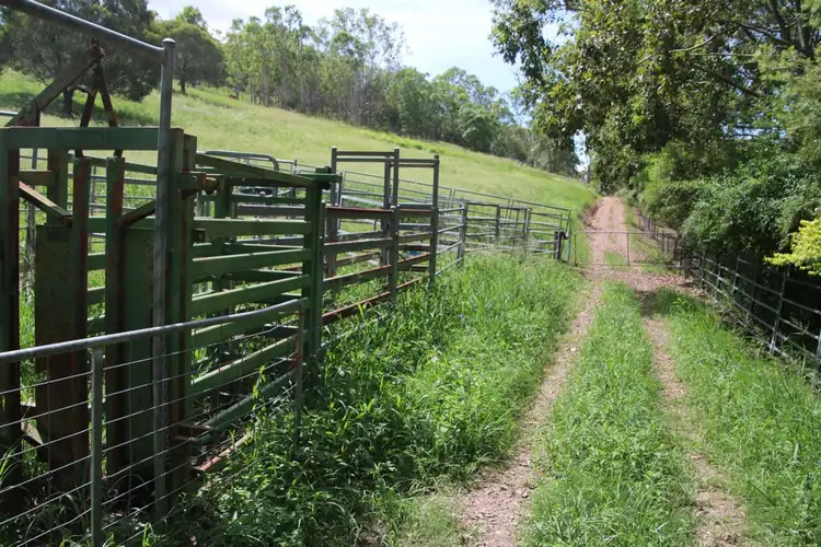 Fifth view of Homely rural property listing, 829 McIntosh Creek Road, Mcintosh Creek QLD 4570