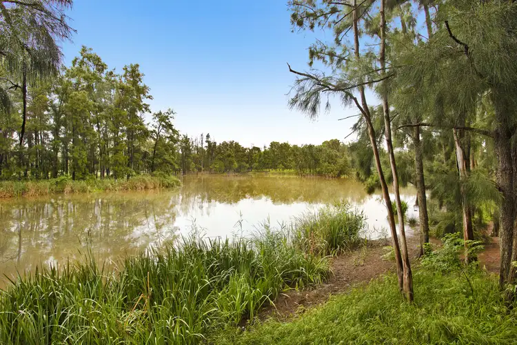 Seventh view of Homely house listing, 38 Glencoe Avenue, Werrington County NSW 2747