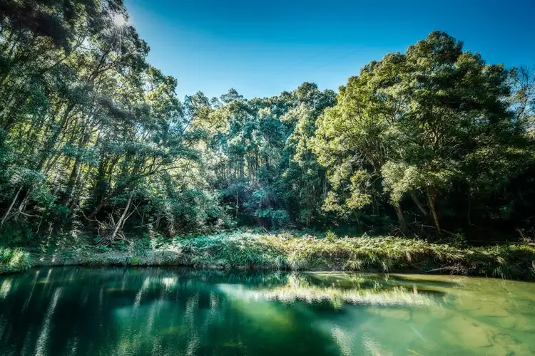 Third view of Homely house listing, 2300 Kalang Road., Bellingen NSW 2454