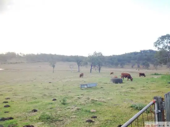 Seventh view of Homely house listing, 1286 Ripley Road, Ripley QLD 4306