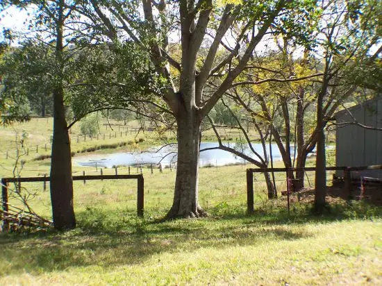 Sixth view of Homely house listing, 4432 Beaudesert-Nerang Rd, Beaudesert QLD 4285