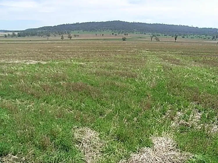 Main view of Homely rural property listing, "Invereness", Warialda NSW 2402