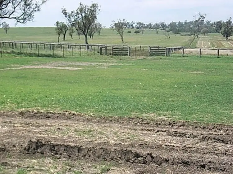 Second view of Homely rural property listing, "Invereness", Warialda NSW 2402