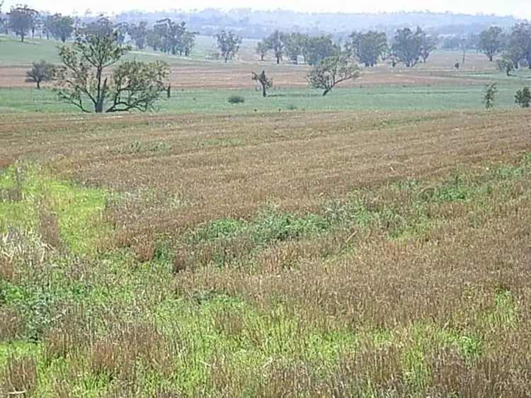 Fourth view of Homely rural property listing, "Invereness", Warialda NSW 2402