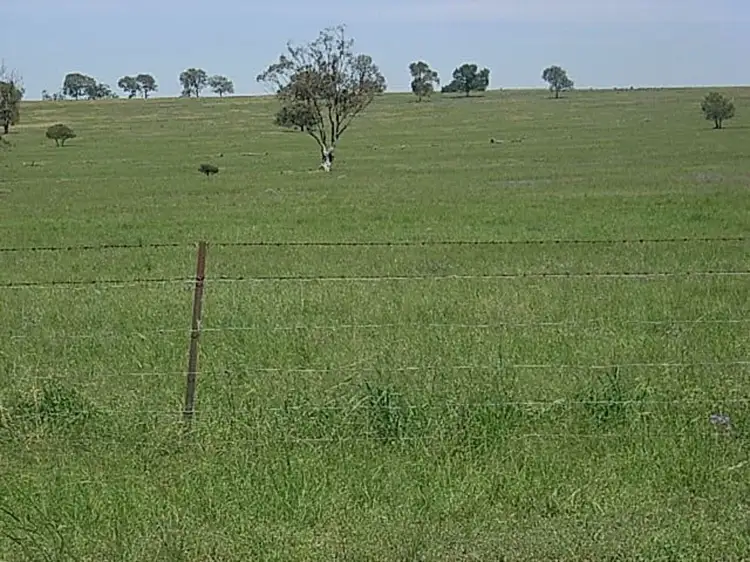 Sixth view of Homely rural property listing, "Invereness", Warialda NSW 2402
