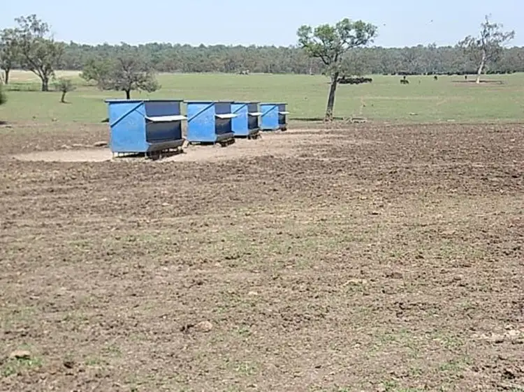 Seventh view of Homely rural property listing, "Invereness", Warialda NSW 2402