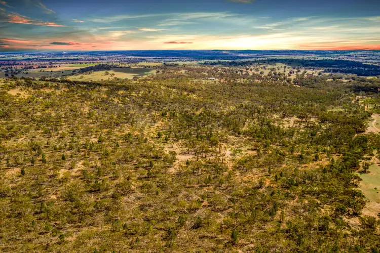 Fourth view of Homely rural property listing, 789 Ironbong Rd, Bethungra NSW 2590