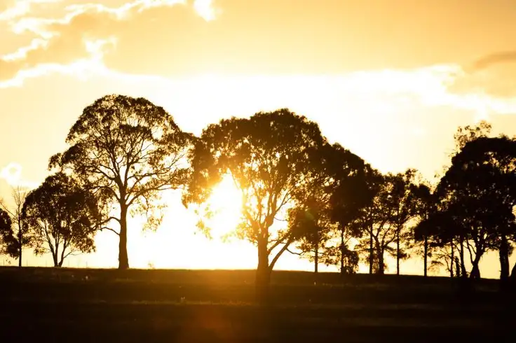 Fifth view of Homely land listing, Lot 217 Sandon Park, Armidale NSW 2350
