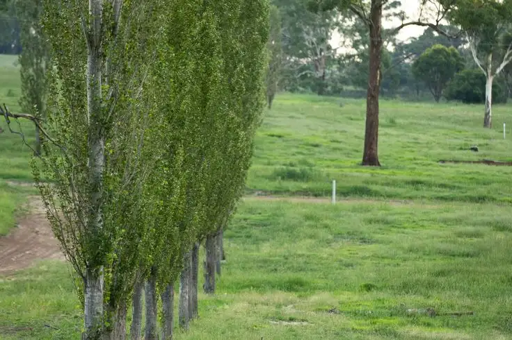 Sixth view of Homely land listing, Lot 217 Sandon Park, Armidale NSW 2350