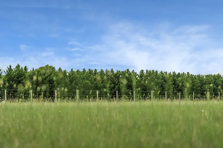 Fourth view of Homely land listing, Lot 50B McConachy Street, Winchelsea VIC 3241