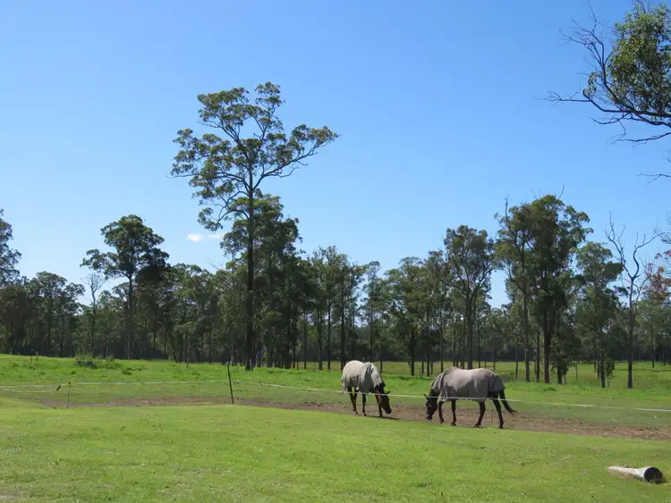 Second view of Homely rural property listing, 37 Raymonds Lane, Frederickton NSW 2440