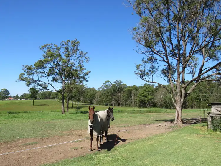 Fifth view of Homely rural property listing, 37 Raymonds Lane, Frederickton NSW 2440