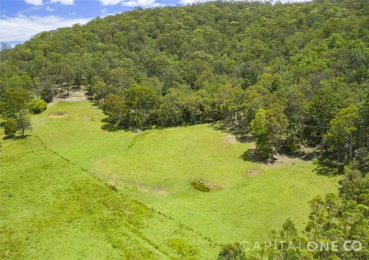 Second view of Homely rural property listing, 111b Bunning Creek Road, Yarramalong NSW 2259