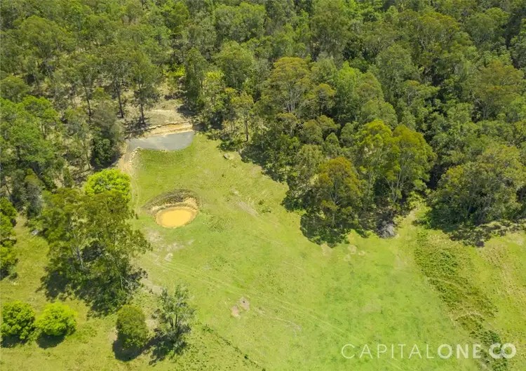 Third view of Homely rural property listing, 111b Bunning Creek Road, Yarramalong NSW 2259