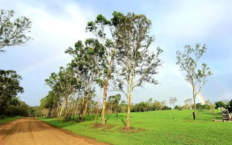 Main view of Homely rural property listing, 28 Talaba Road, Calliope QLD 4680