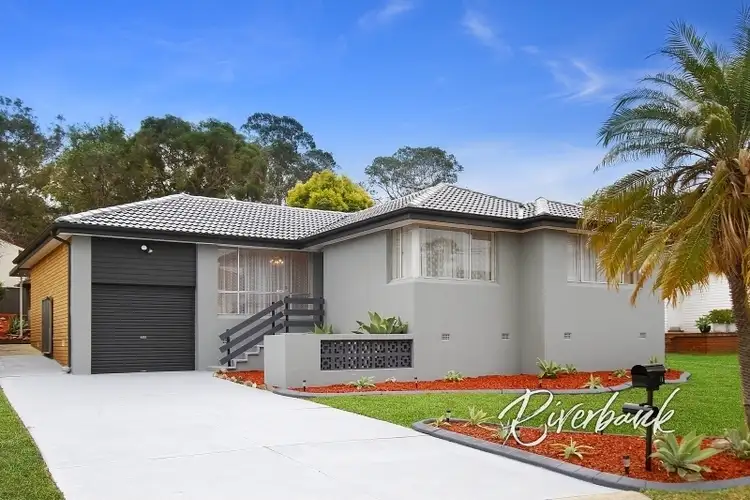 Main view of Homely house listing, 11 Oleander St, Greystanes NSW 2145
