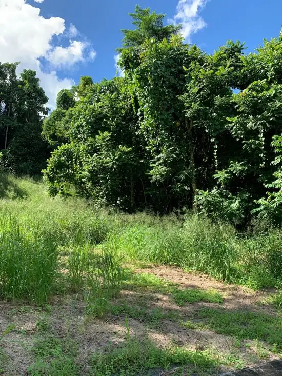 Main view of Homely land listing, 4 Jago Street, Babinda QLD 4861