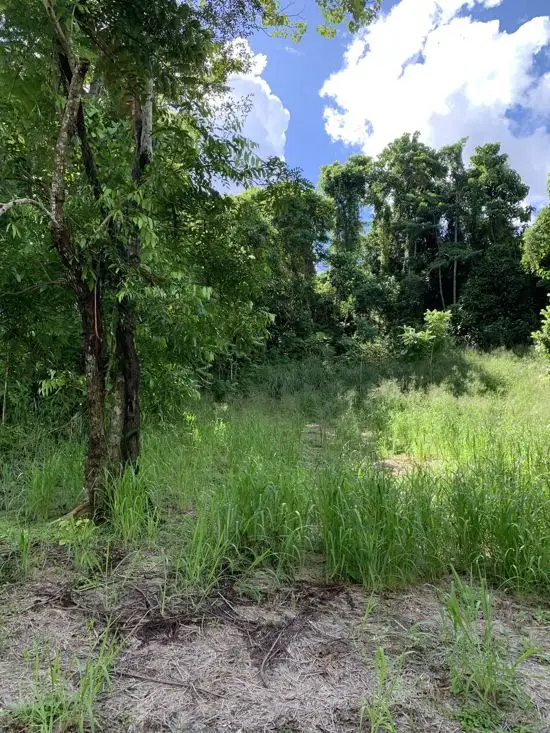 Fourth view of Homely land listing, 4 Jago Street, Babinda QLD 4861