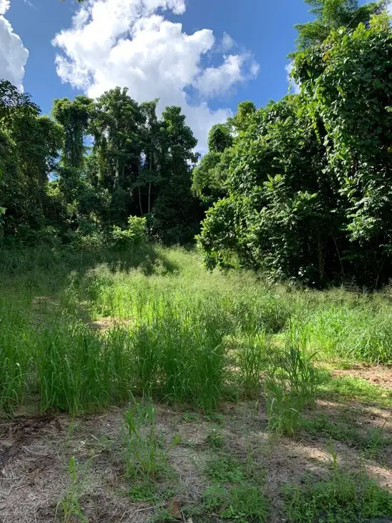 Fifth view of Homely land listing, 4 Jago Street, Babinda QLD 4861