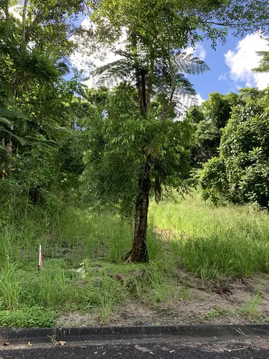 Seventh view of Homely land listing, 4 Jago Street, Babinda QLD 4861