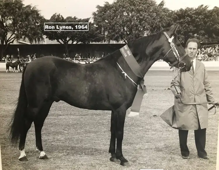 Sixth view of Homely rural property listing, 31 Truman Crescent, Slacks Creek QLD 4127
