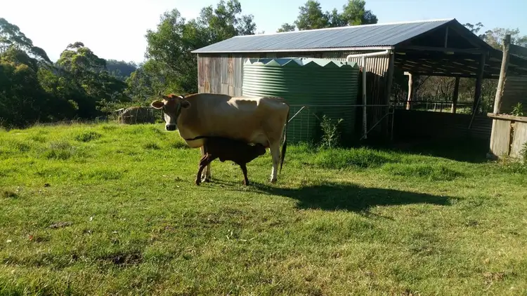 Second view of Homely rural property listing, Address available on request