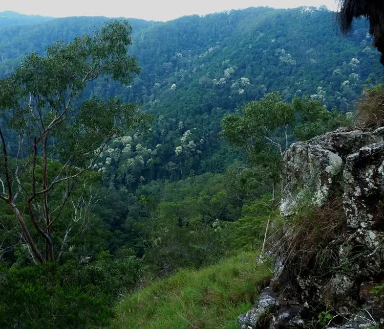 Fourth view of Homely rural property listing, Address available on request