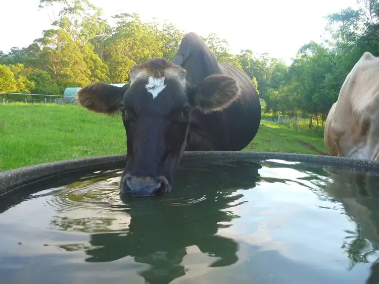 Seventh view of Homely rural property listing, Address available on request