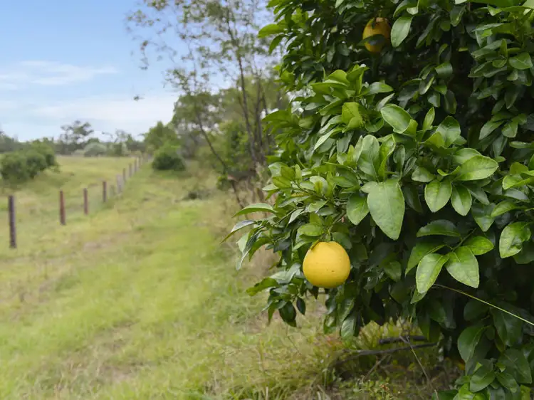 Fifth view of Homely rural property listing, Lot 106 West Lanitza Road, Lanitza NSW 2460