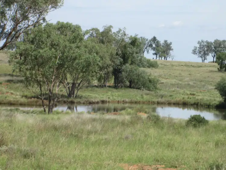 Sixth view of Homely rural property listing, "Esmadale", Warialda NSW 2402