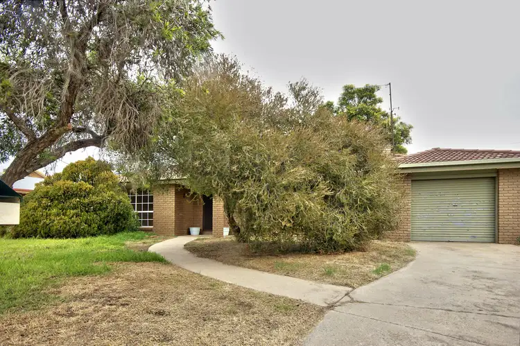 Main view of Homely house listing, 11 Watson Court, Deniliquin NSW 2710