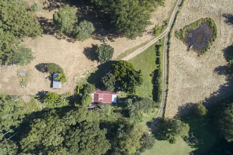Third view of Homely rural property listing, 189 Maydwell Street, Bellingen NSW 2454