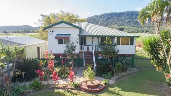 368 Devereux Creek Road, Devereux Creek QLD 4753