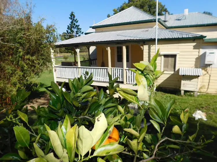 Main view of Homely house listing, 50 Sandilands Street, Mallanganee NSW 2469