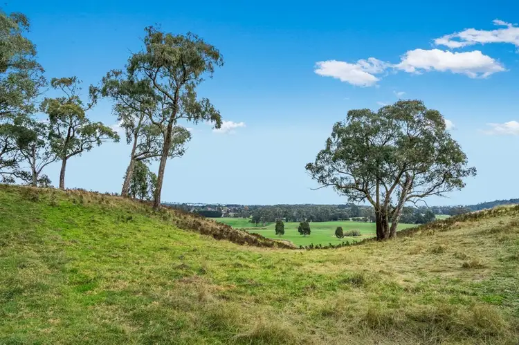 Seventh view of Homely rural property listing, 2235 Birregurra-Forrest Road, Forrest VIC 3236