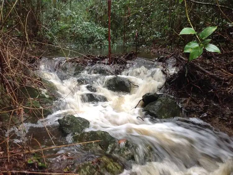 Sixth view of Homely rural property listing, 154 Engle Road, Reesville QLD 4552