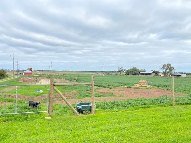 Fourth view of Homely rural property listing, 2648 Jervois, Jervois SA 5259