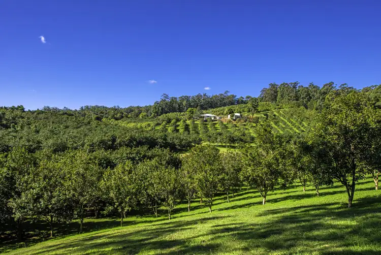348 Rosewood Road, Warrell Creek NSW 2447