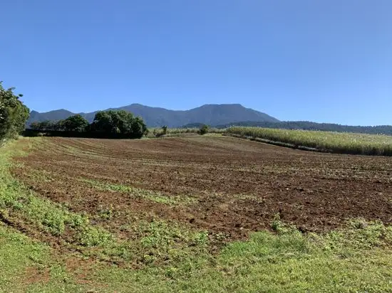 Main view of Homely land listing, 60 Menzies Road, Bartle Frere QLD 4861