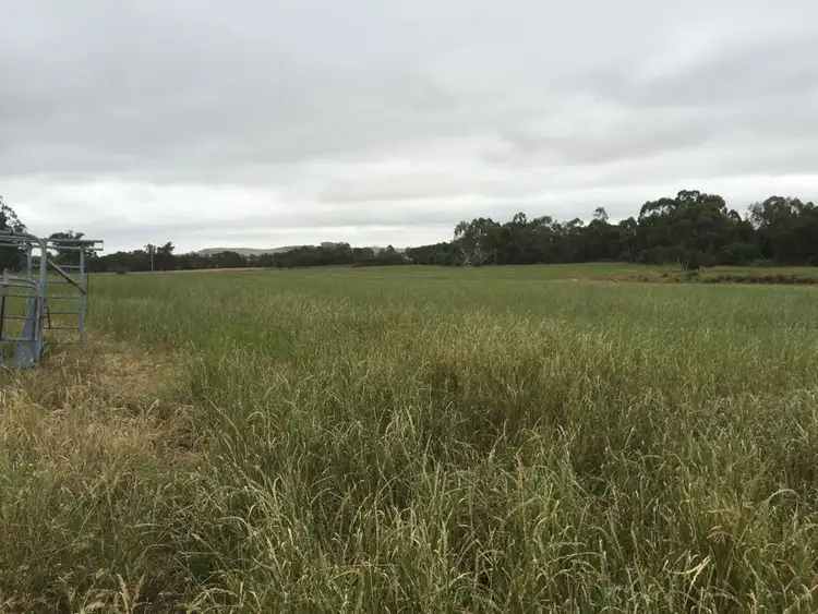 Fourth view of Homely land listing, 117 Cades Rd, Whittlesea VIC 3757