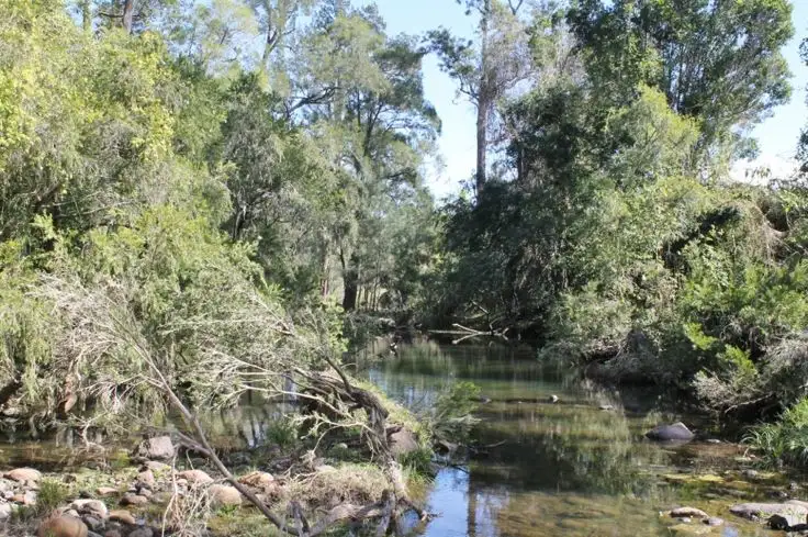 Fourth view of Homely rural property listing, 4294 Summerland Way - Unumgar, Kyogle NSW 2474