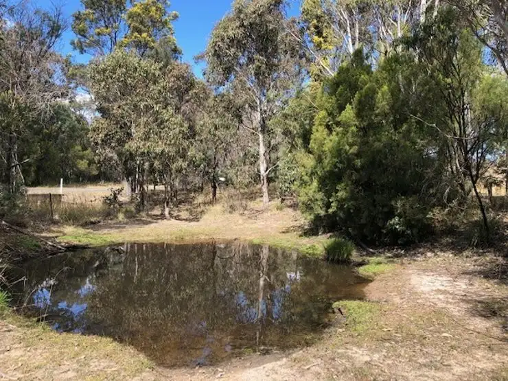 Third view of Homely land listing, Lot 1 New England Highway, Dalveen QLD 4374