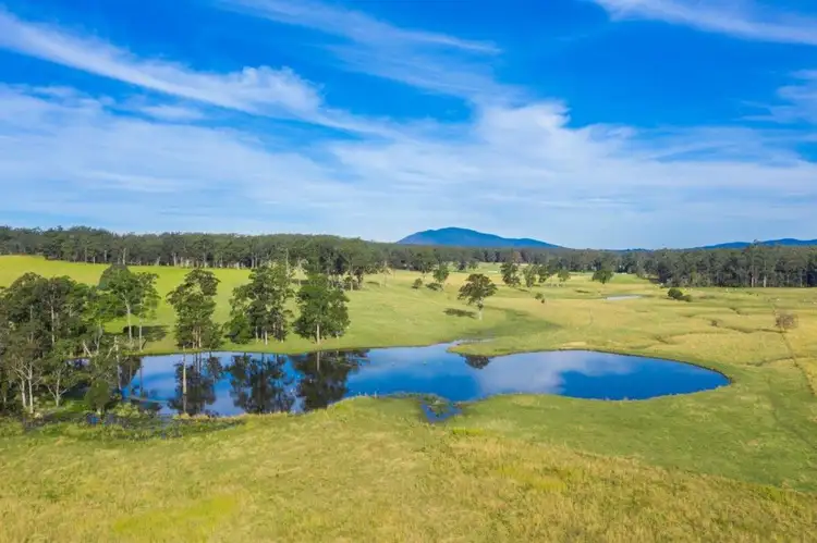 Fifth view of Homely rural property listing, 41 Little Bago Lane, Herons Creek NSW 2443