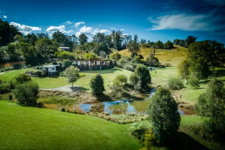188 Gleniffer Rd, Bellingen NSW 2454