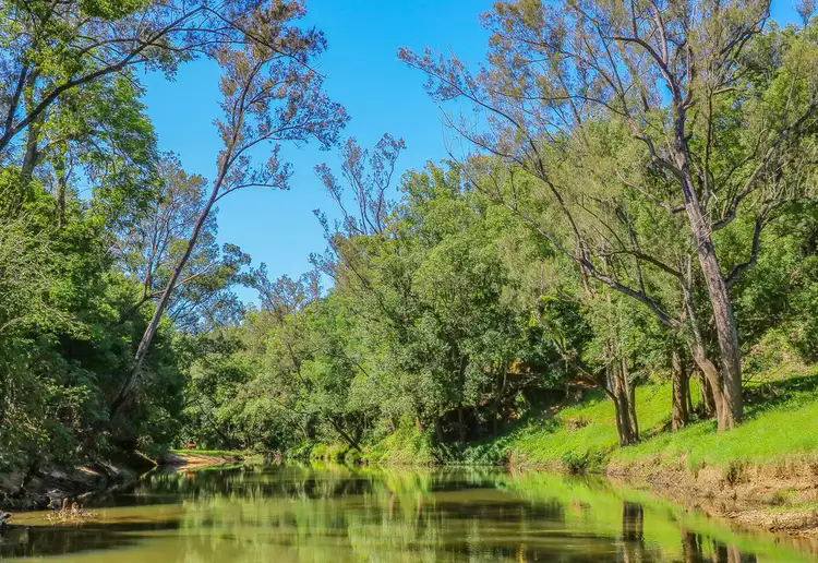 Fifth view of Homely house listing, 159 Nobbys Creek Road, Nobbys Creek NSW 2484
