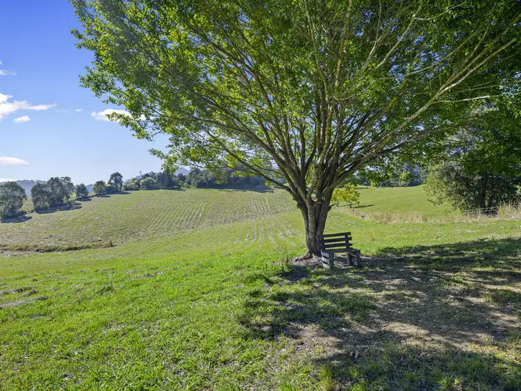 Second view of Homely house listing, 56 Mitchells Road, Valla NSW 2448